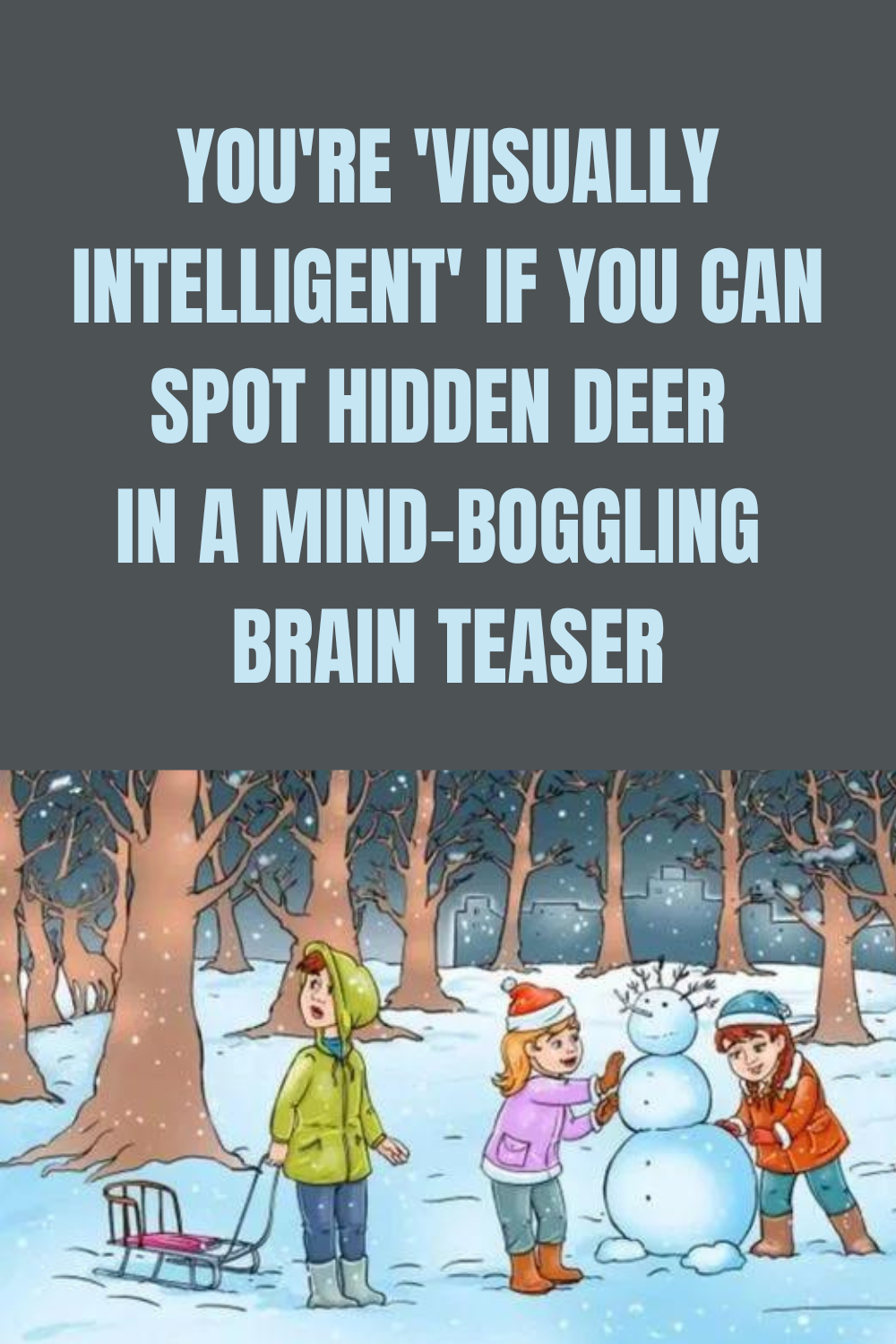 You're 'visually Intelligent' If You Can Spot Hidden Deer In Mind ...