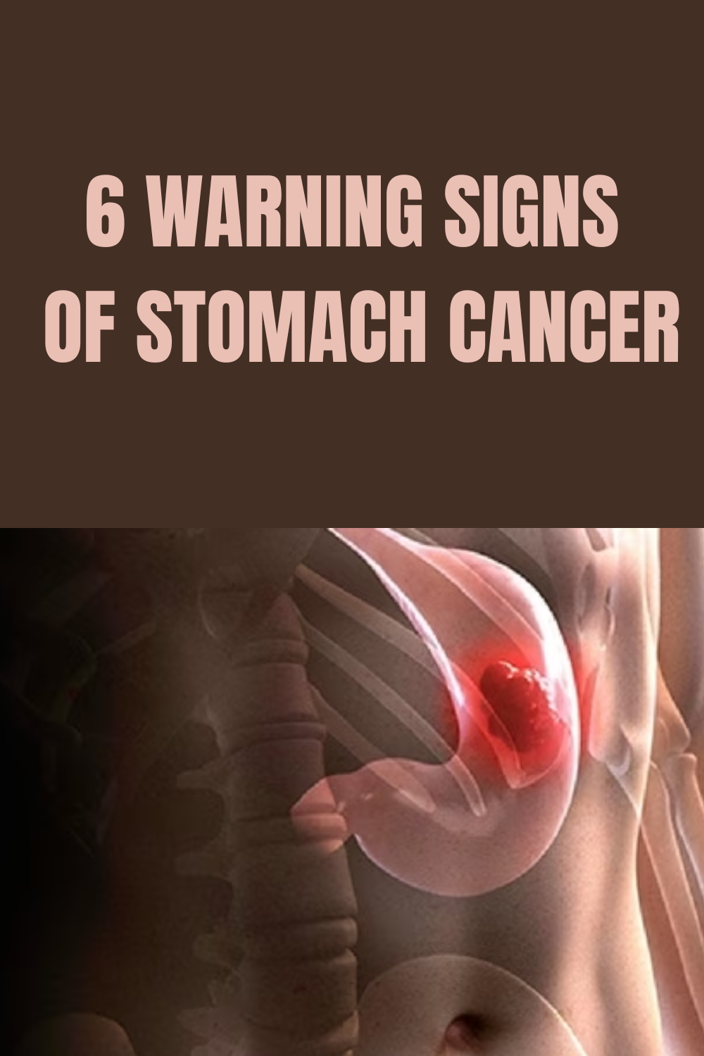 6 Warning Signs Of Stomach Cancer Daily Gardening Mag