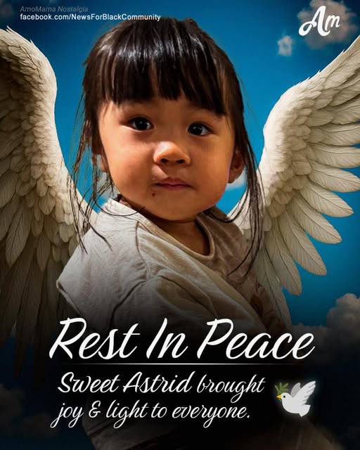 Suspect and 3 Victims Identified in Deadly Target Shooting in Austin, Texas